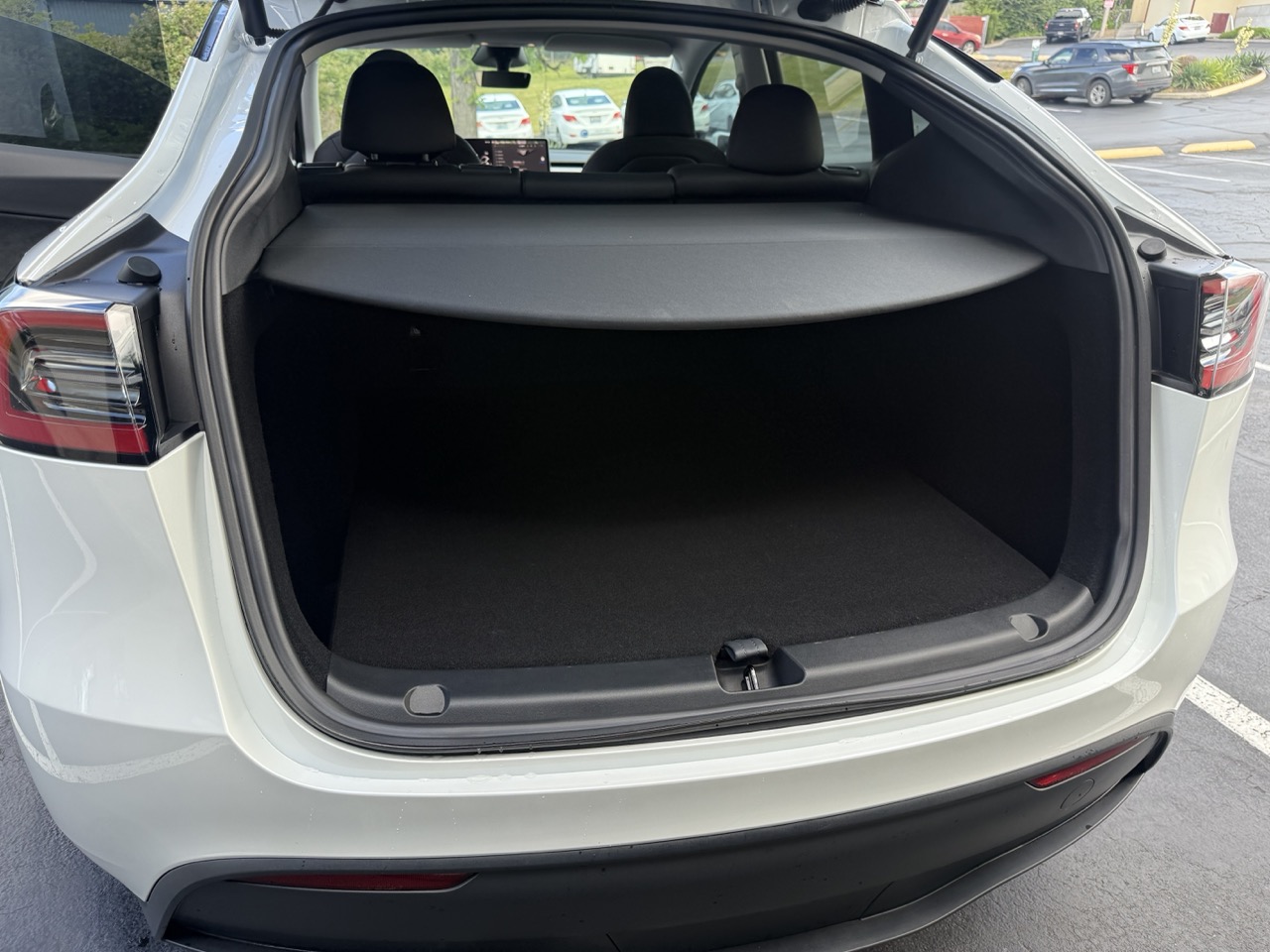 Model Y 14